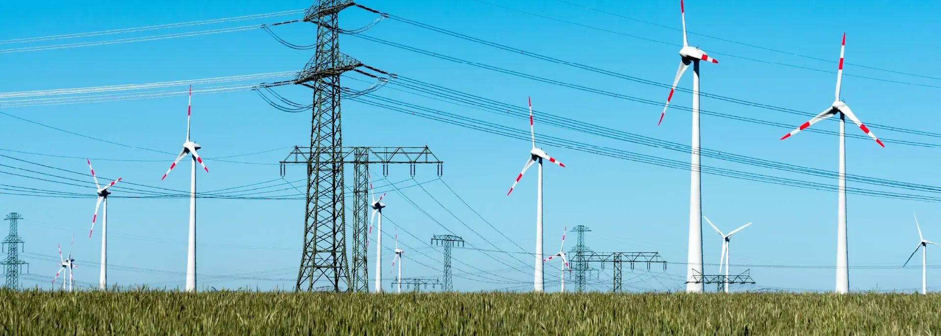 energy & resources